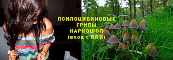 прущие грибы Алексеевка