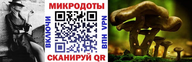 Псилоцибиновые грибы мицелий купить Кропоткин